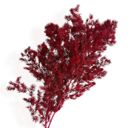 Red Decorative Dried Fine Leaf Stems for Home Decoration and Floral Arrangements, 17.7 Inches