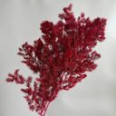 Red Decorative Dried Fine Leaf Stems for Home Decoration and Floral Arrangements, 17.7 Inches