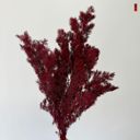 Red Decorative Dried Fine Leaf Stems for Home Decoration and Floral Arrangements, 17.7 Inches