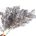 Gray Decorative Dried Fine Leaf Stems for Home Decoration and Floral Arrangements, 17.7 Inches