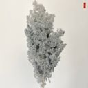 Gray Decorative Dried Fine Leaf Stems for Home Decoration and Floral Arrangements, 17.7 Inches