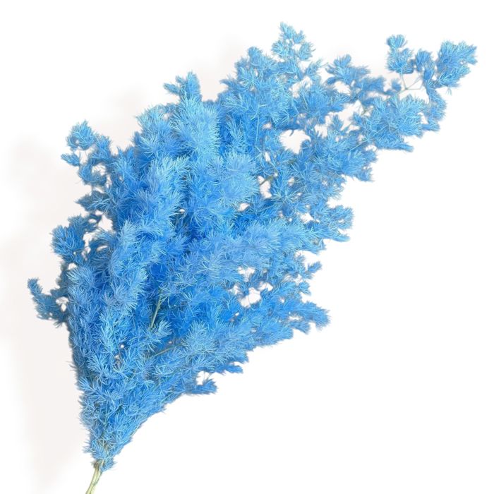 Decorative Dried Fine Leaf Stems for Home Decoration and Floral Arrangements, 17.7 Inches