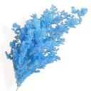 Blue Decorative Dried Fine Leaf Stems for Home Decoration and Floral Arrangements, 17.7 Inches