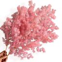 Pink Decorative Dried Fine Leaf Stems for Home Decoration and Floral Arrangements, 17.7 Inches