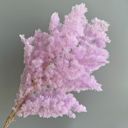 Pink Decorative Dried Fine Leaf Stems for Home Decoration and Floral Arrangements, 17.7 Inches