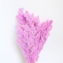 Pink Decorative Dried Fine Leaf Stems for Home Decoration and Floral Arrangements, 17.7 Inches