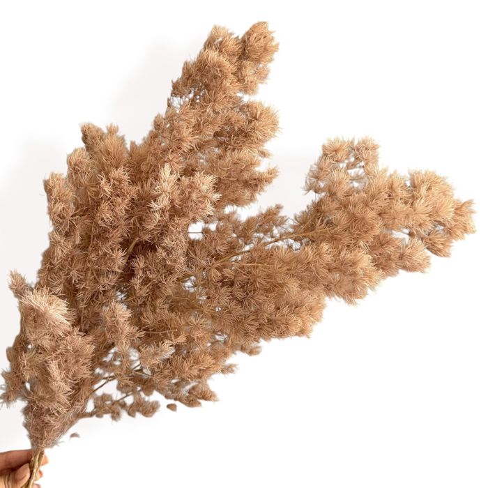 Decorative Dried Fine Leaf Stems for Home Decoration and Floral Arrangements, 17.7 Inches