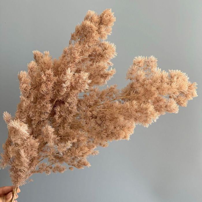 Decorative Dried Fine Leaf Stems for Home Decoration and Floral Arrangements, 17.7 Inches