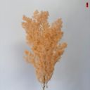 Beige Decorative Dried Fine Leaf Stems for Home Decoration and Floral Arrangements, 17.7 Inches