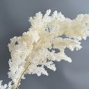 White Decorative Dried Fine Leaf Stems for Home Decoration and Floral Arrangements, 17.7 Inches