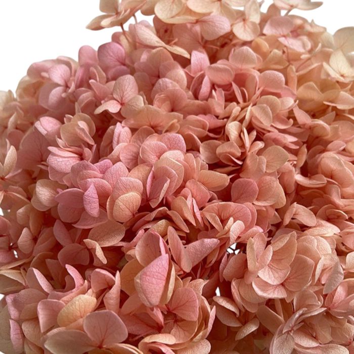 Decorative Dried Hydrangea Blooms for Home Decoration and Floral Arrangements, 7.8 Inches