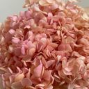 Orange Decorative Dried Hydrangea Blooms for Home Decoration and Floral Arrangements, 7.8 Inches