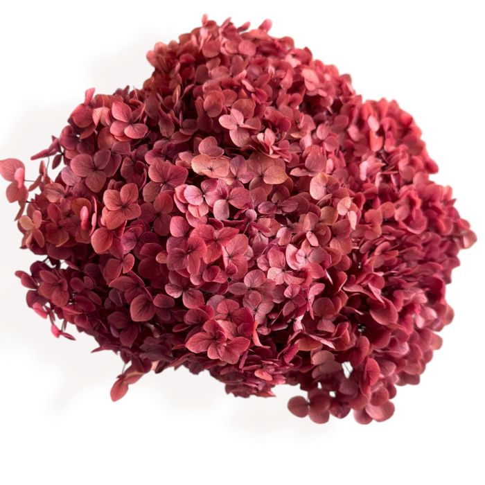 Decorative Dried Hydrangea Blooms for Home Decoration and Floral Arrangements, 7.8 Inches