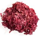 Red Decorative Dried Hydrangea Blooms for Home Decoration and Floral Arrangements, 7.8 Inches