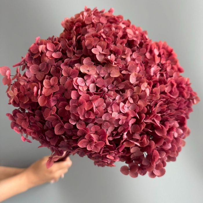 Decorative Dried Hydrangea Blooms for Home Decoration and Floral Arrangements, 7.8 Inches