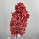 Red Decorative Dried Hydrangea Blooms for Home Decoration and Floral Arrangements, 7.8 Inches