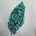 Green Decorative Dried Hydrangea Blooms for Home Decoration and Floral Arrangements, 7.8 Inches