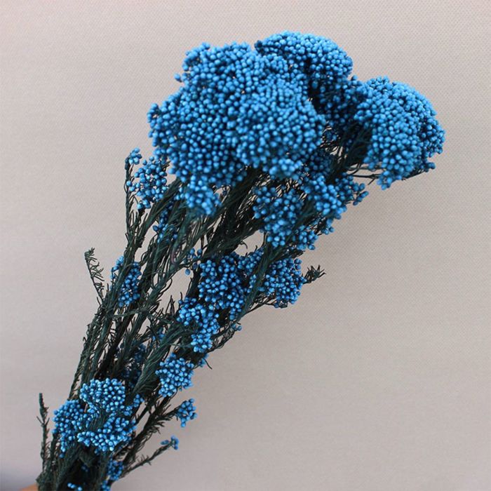 Decorative Dried Berry Stems for Home Decoration and Floral Arrangements, 17 Inches