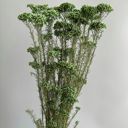 Green Decorative Dried Berry Stems for Home Decoration and Floral Arrangements, 17 Inches