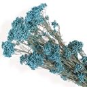 Blue Decorative Dried Berry Stems for Home Decoration and Floral Arrangements, 17 Inches