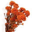 Orange Decorative Dried Berry Stems for Home Decoration and Floral Arrangements, 17 Inches