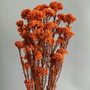 Orange Decorative Dried Berry Stems for Home Decoration and Floral Arrangements, 17 Inches