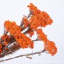 Orange Decorative Dried Berry Stems for Home Decoration and Floral Arrangements, 17 Inches