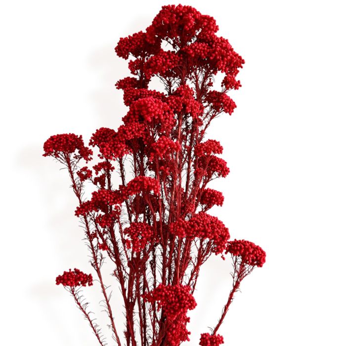 Decorative Dried Berry Stems for Home Decoration and Floral Arrangements, 17 Inches