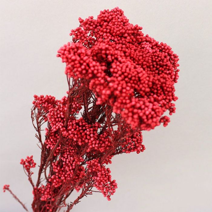 Decorative Dried Berry Stems for Home Decoration and Floral Arrangements, 17 Inches