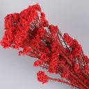 Red Decorative Dried Berry Stems for Home Decoration and Floral Arrangements, 17 Inches