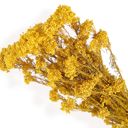 Yellow Decorative Dried Berry Stems for Home Decoration and Floral Arrangements, 17 Inches