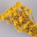 Yellow Decorative Dried Berry Stems for Home Decoration and Floral Arrangements, 17 Inches