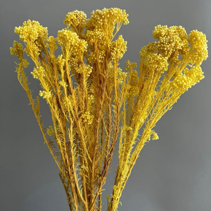 Decorative Dried Berry Stems for Home Decoration and Floral Arrangements, 17 Inches