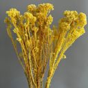 Yellow Decorative Dried Berry Stems for Home Decoration and Floral Arrangements, 17 Inches