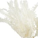 White Decorative Dried Bouquet with Textured Floral Accents for Home Decoration and Gifts, 17 Inches