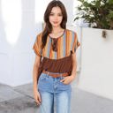 Brown Large V-Neck Short Sleeve Striped Panel Top with Contrast Bodice