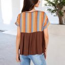 Brown Large V-Neck Short Sleeve Striped Panel Top with Contrast Bodice