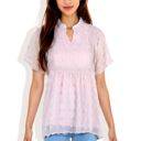 Pink Large Short Sleeve V-Neck Swiss Dot Blouse with Ruffle Trim Casual Peasant Top