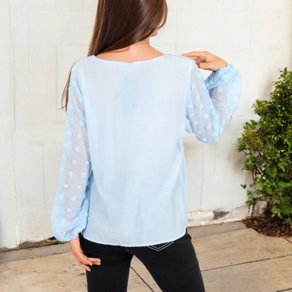 Sheer Sleeve V-Neck Blouse with Delicate Dot Embroidery