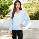 Blue Large Sheer Sleeve V-Neck Blouse with Delicate Dot Embroidery