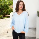 Blue Large Sheer Sleeve V-Neck Blouse with Delicate Dot Embroidery