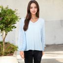 Blue Large Sheer Sleeve V-Neck Blouse with Delicate Dot Embroidery