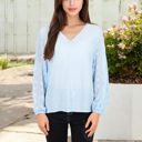 Blue Medium Sheer Sleeve V-Neck Blouse with Delicate Dot Embroidery