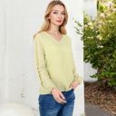 Green Large Sheer Sleeve V-Neck Blouse with Delicate Dot Embroidery