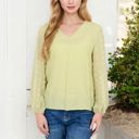 Green Large Sheer Sleeve V-Neck Blouse with Delicate Dot Embroidery