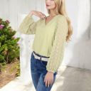 Green Large Sheer Sleeve V-Neck Blouse with Delicate Dot Embroidery