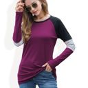 Purple Large Long Sleeve Color Block Raglan Top with Striped Sleeve Detail