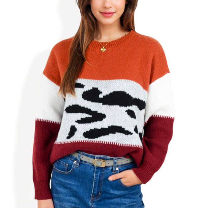 Animal Print Color Block Sweater with Long Sleeves