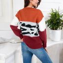  Animal Print Color Block Sweater with Long Sleeves