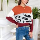  Animal Print Color Block Sweater with Long Sleeves